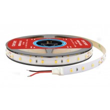 STRIP LED ACCENTO  4.80W/m - 6000K - 420 Lm/m - IP20 - Bob. 3 m. in Blister